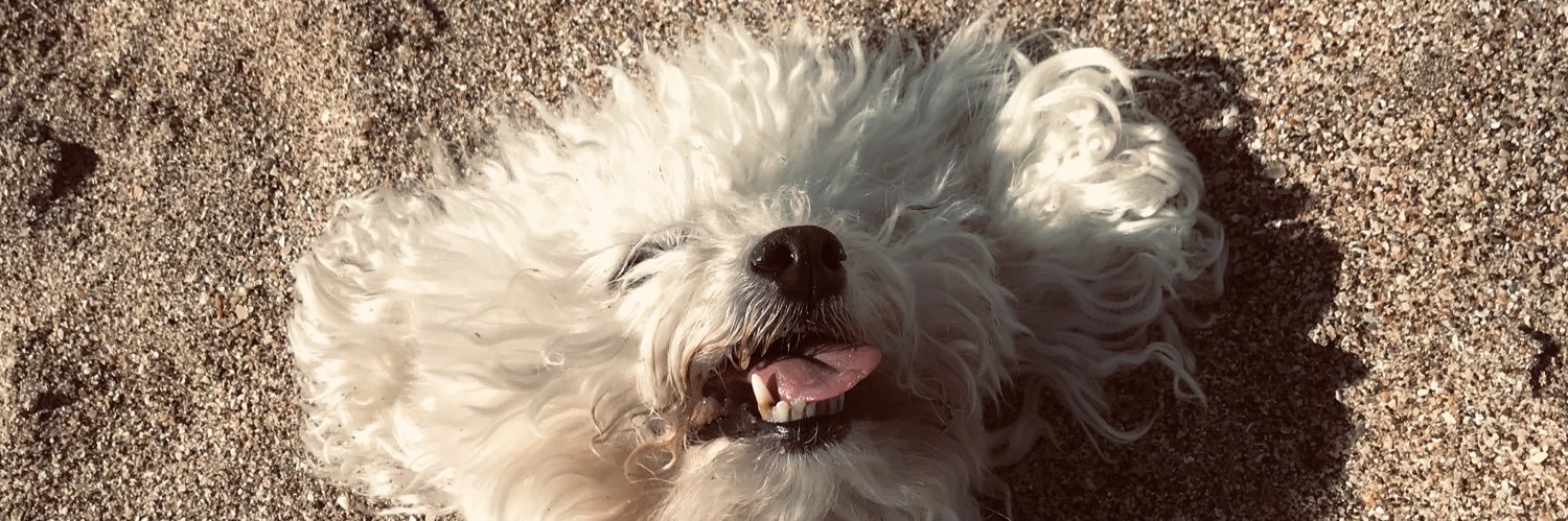 SofiRodriguez54's profile banner image