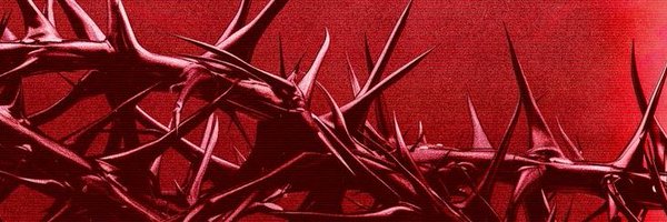 oclnb45221 Profile Banner