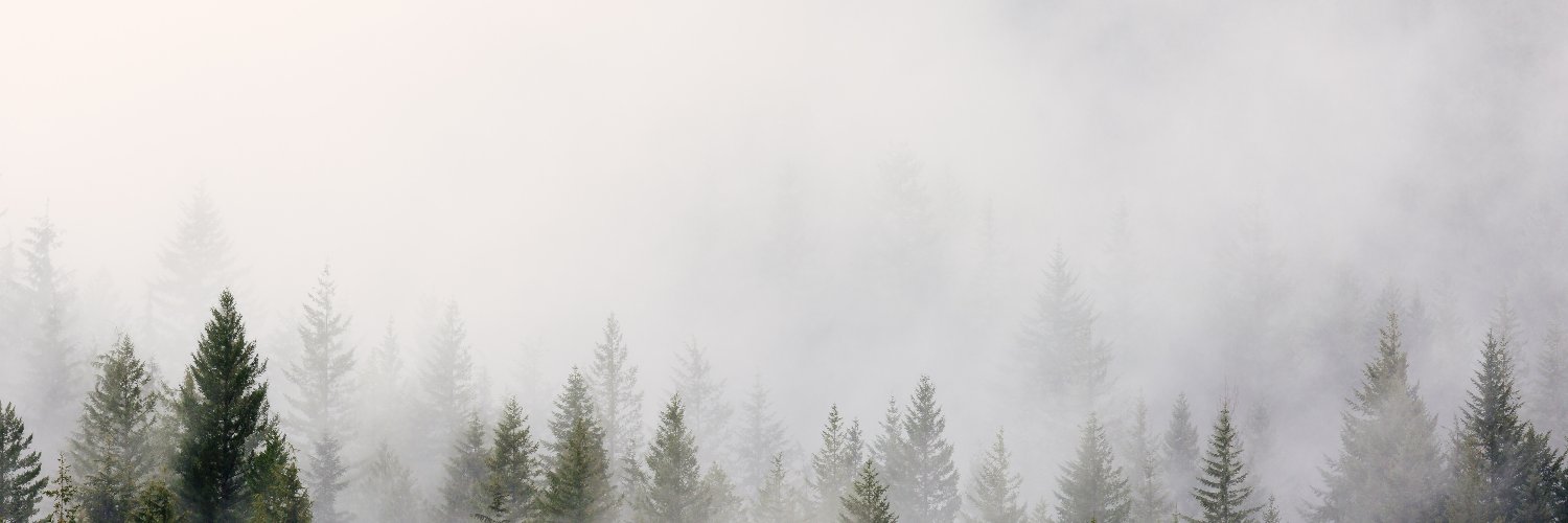 maxmaximov55555's profile banner image