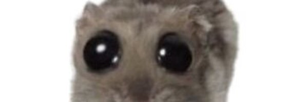 coolcusisaidso Profile Banner