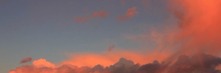 eliza5hs's profile banner image