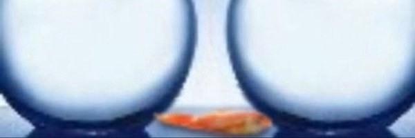 mysteriousrock5 Profile Banner