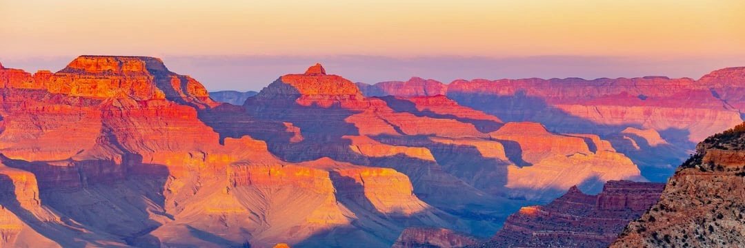 ArizonaAl_'s profile banner image