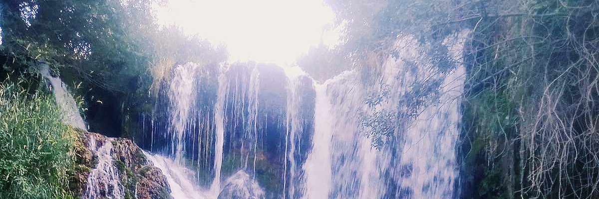 Irene_geme's profile banner image