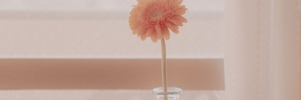 𝗠𝗜𝗞𝗜𝗧𝙊͟. banner