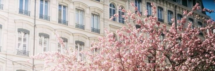 ✦ liet ²⁶ banner
