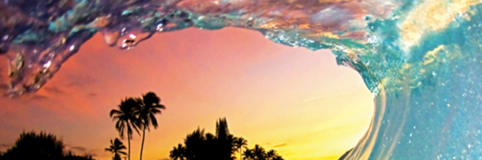 Fran74newells's profile banner image