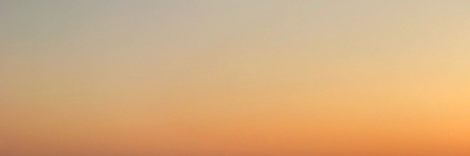 Cleethorpes Beach Patrol banner