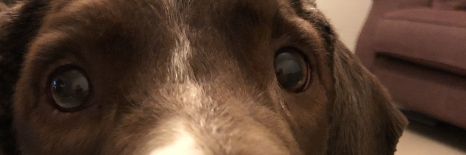 ukbirch22's profile banner image