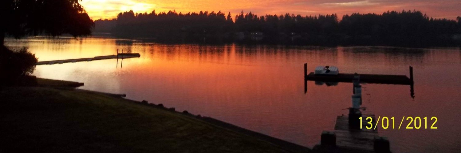livewirensom's profile banner image