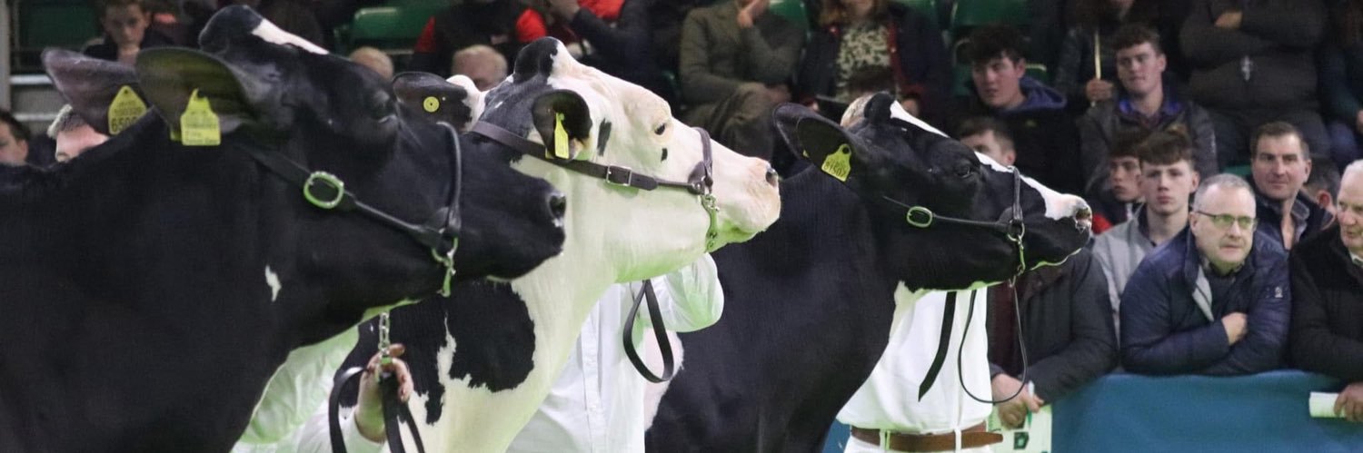 johnhenningmoo's profile banner image