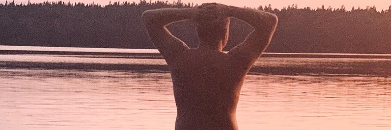Jimmy Blomqvist Larsson banner