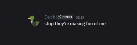 Catalina Lynx ⚠🐱 Echo Pulse banner