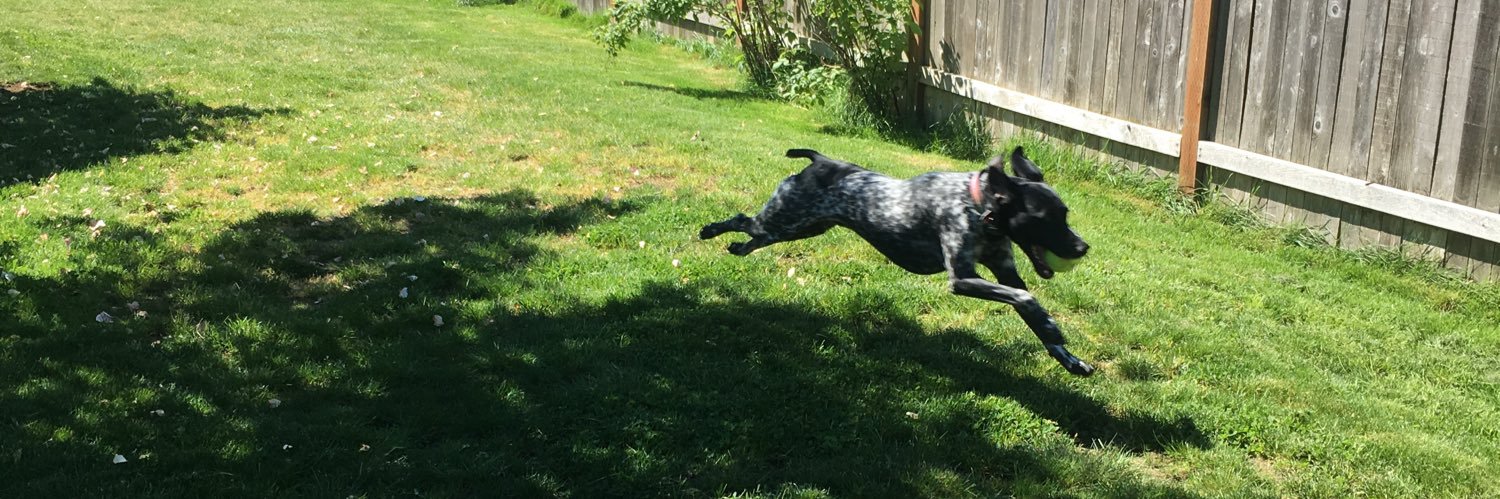 youwerethebestboy banner