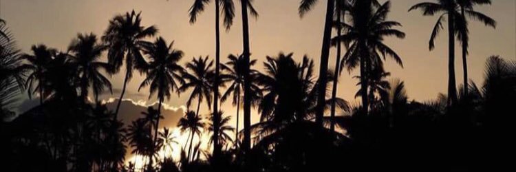 jennytoocool's profile banner image