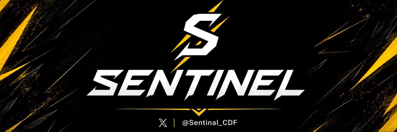 STN frixx. banner