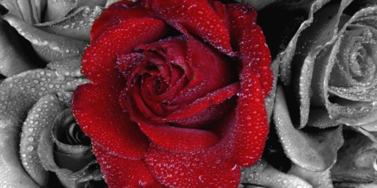 Mmmm_Sade's profile banner image