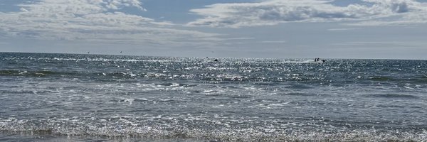 itmaebee Profile Banner