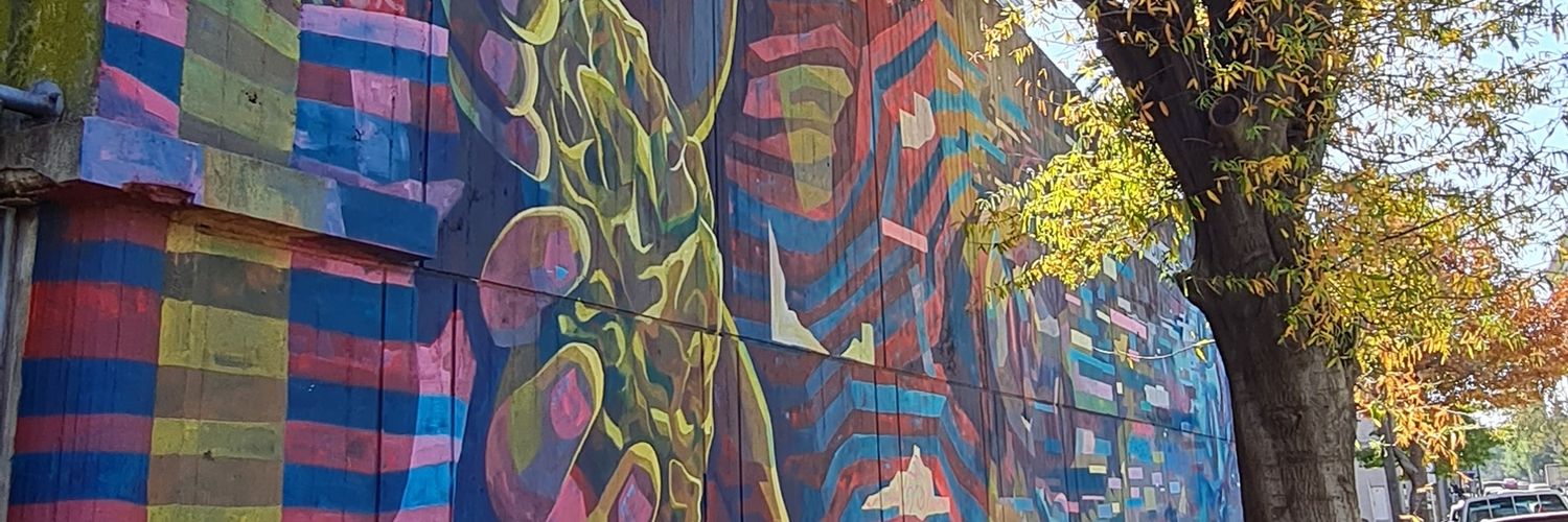 Fefi Rainaldi Redón banner