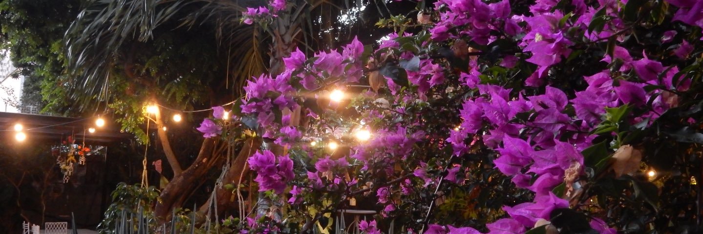 neny 🧚🏽‍♀️ banner