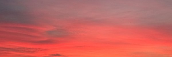 DailyCutePost Profile Banner
