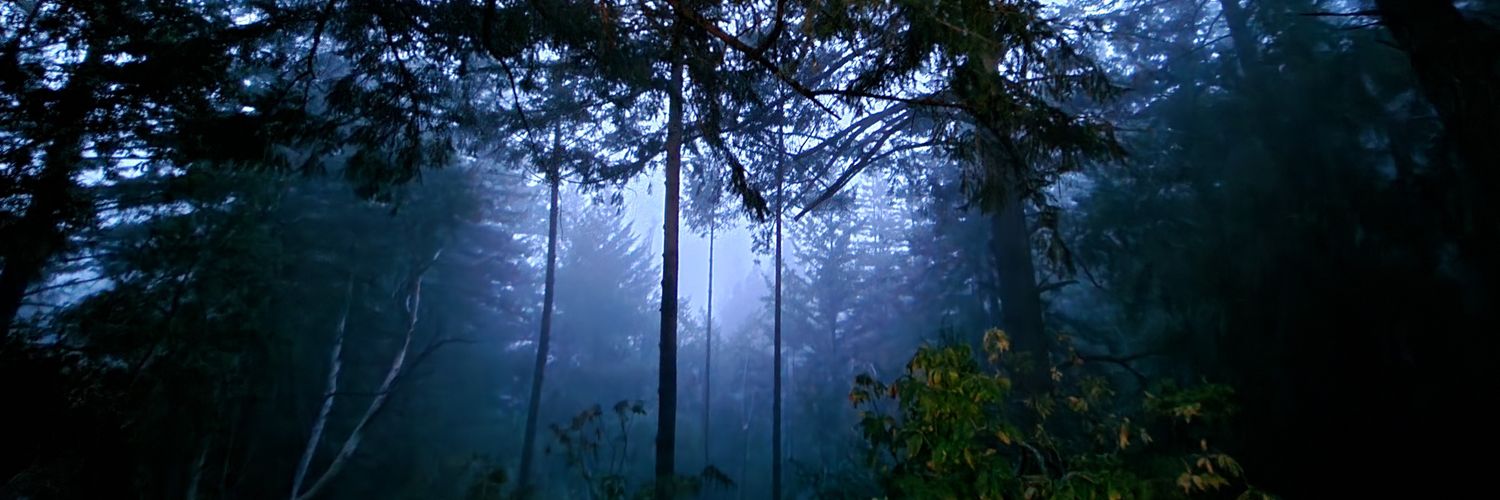 Bookpimp1's profile banner image