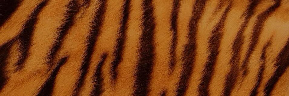 lamp 🦄🌈🥞🪩🎆 banner