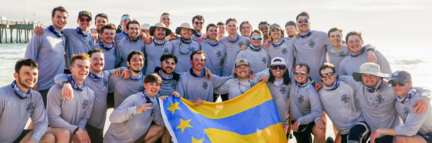 Alpha Tau Omega banner