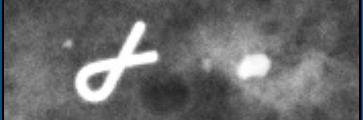 Firefish655's profile banner image