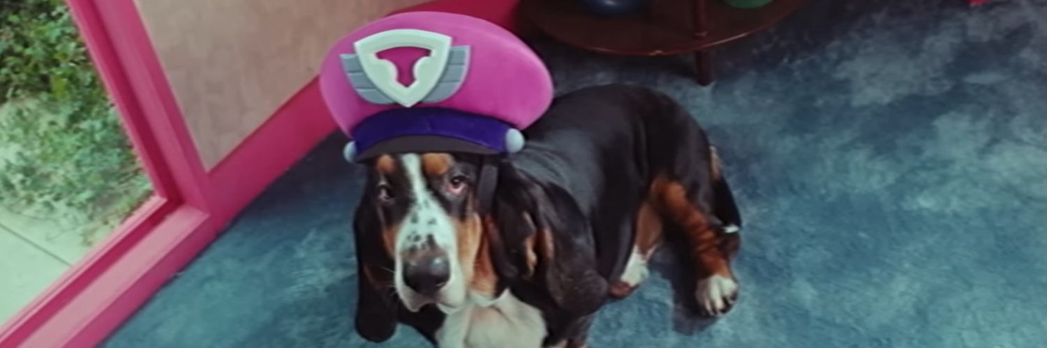 Turibi 🍎🦖❄️ banner