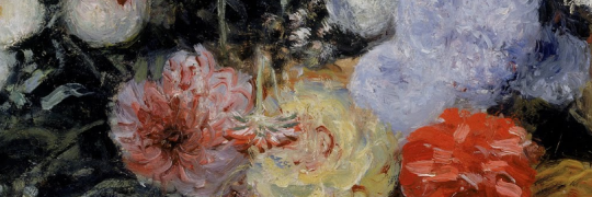 Historisadora banner