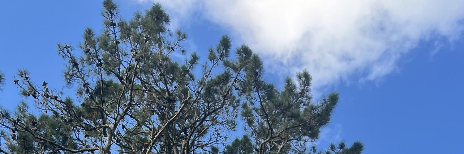 JuliPascaa's profile banner image