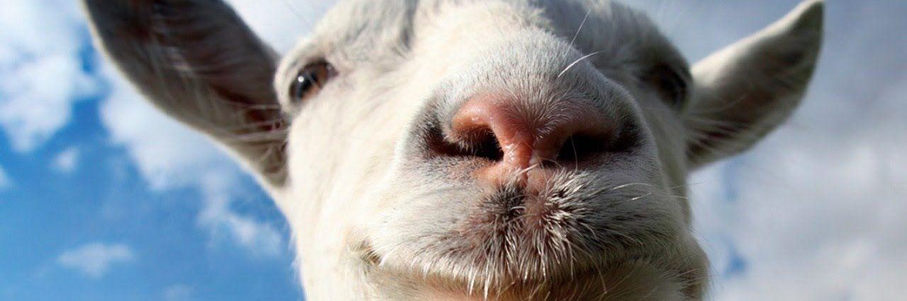 Daily MkLeo clips banner