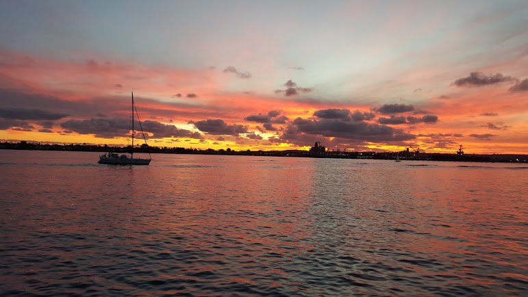 Ashish Palekar banner