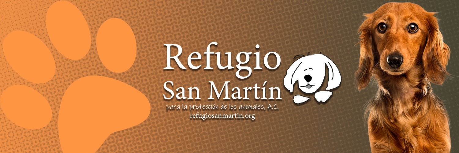 Sanmartin_rf's profile banner image