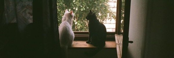 evilnohags Profile Banner