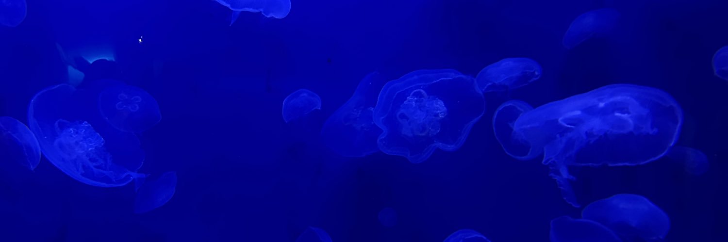 charlesm26's profile banner image