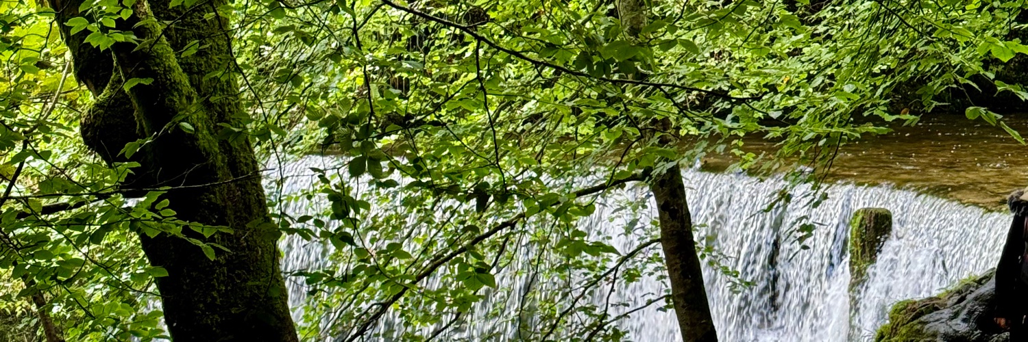 ChHannah16's profile banner image