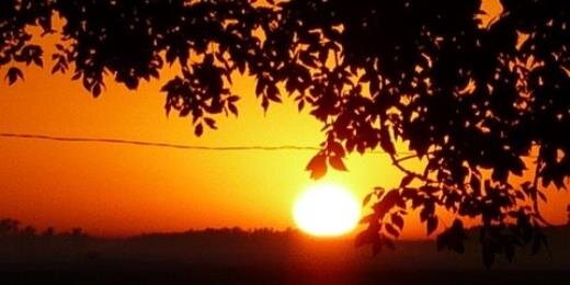 Palybono's profile banner image