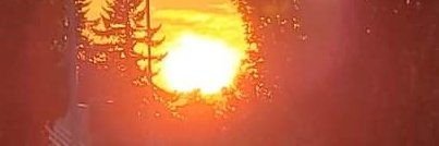 Killing Yourself to Live banner