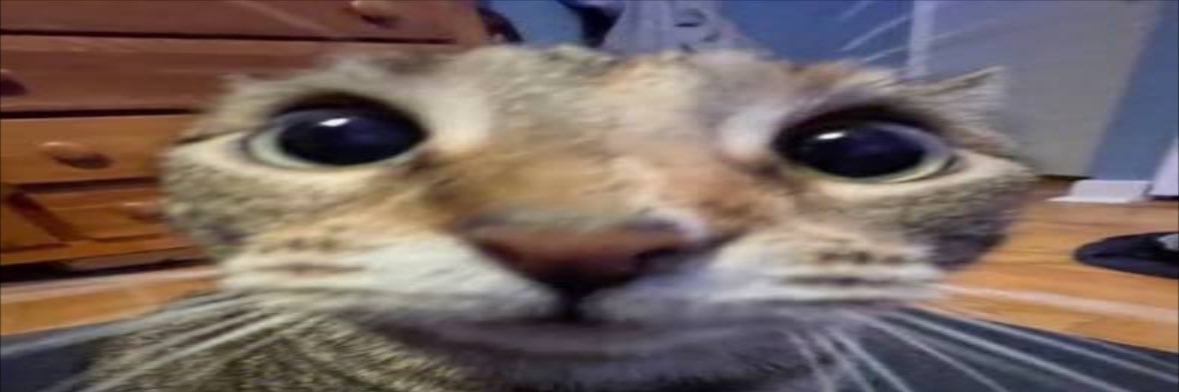 NonexistentJay's banner