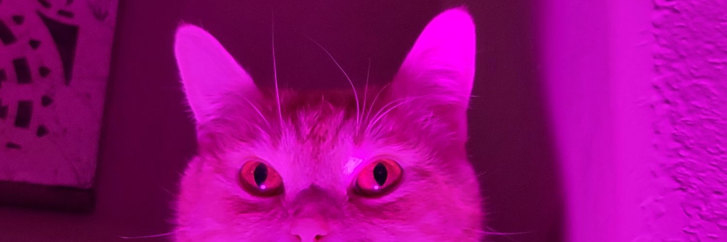 🆗️🆒️ banner