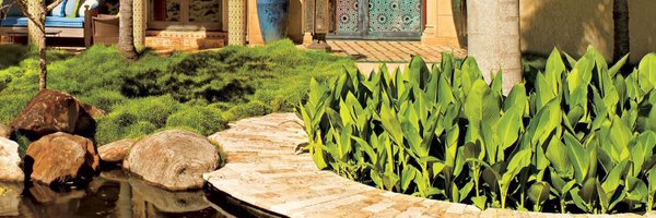 Bisola_____ Profile Banner