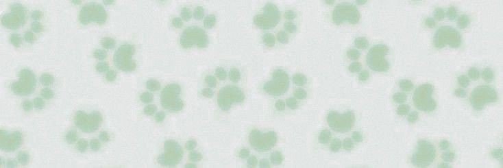 nenerlove's profile banner image