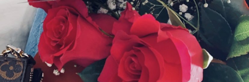 martafennich_'s profile banner image