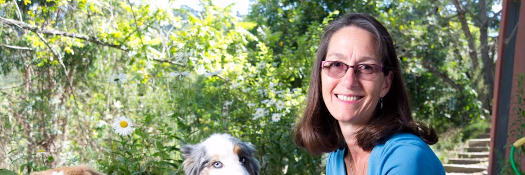 Jill Berrick banner