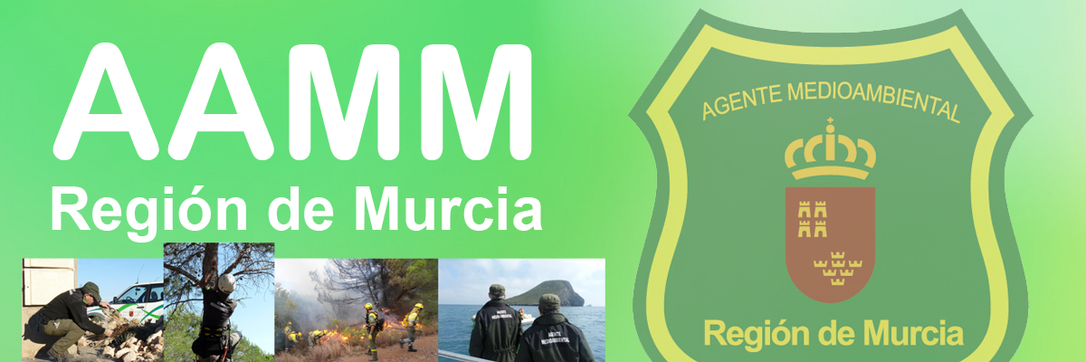 APAMAM 2025 banner