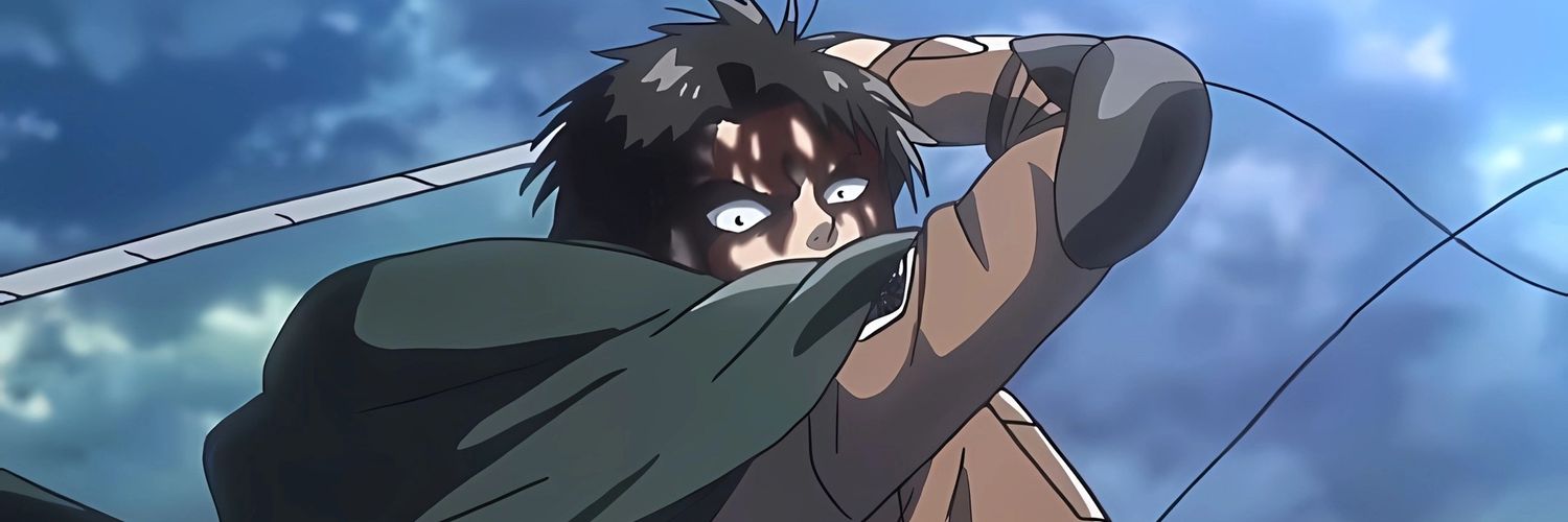 levi banner