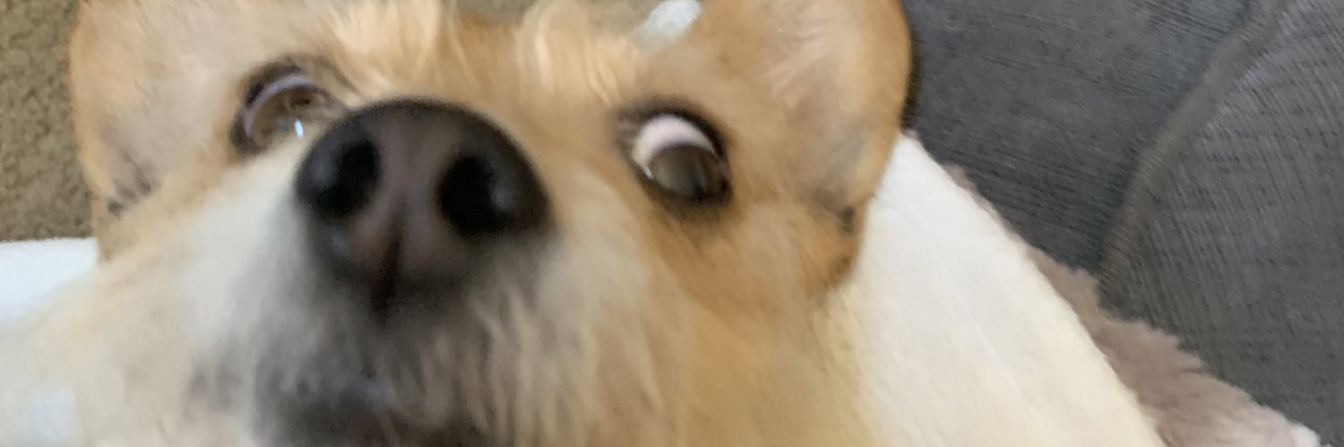 FlamingHomo_'s profile banner image