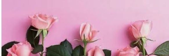 GretelPerea's profile banner image